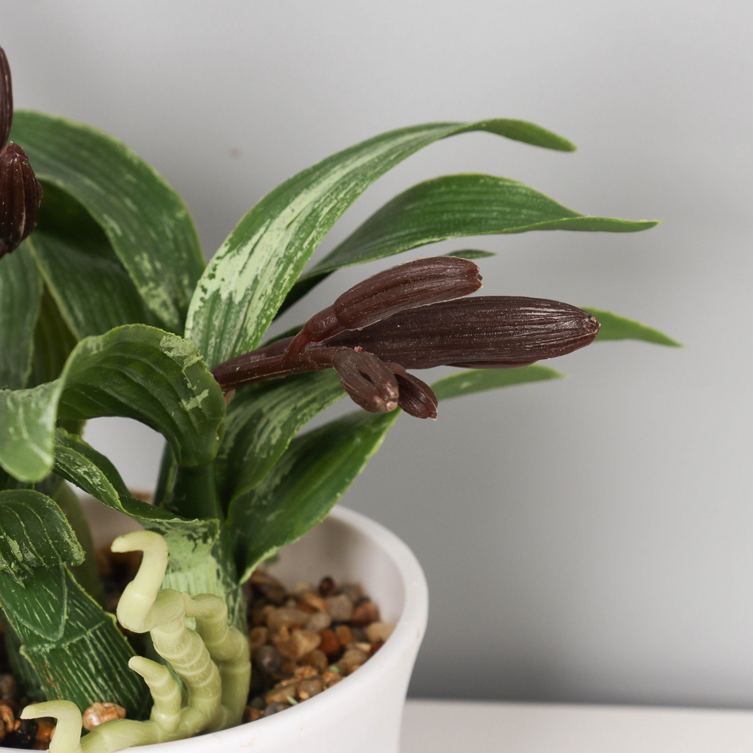 Бонсай в горшке "Ирис мини галант" 19х11 см, микс  10697904