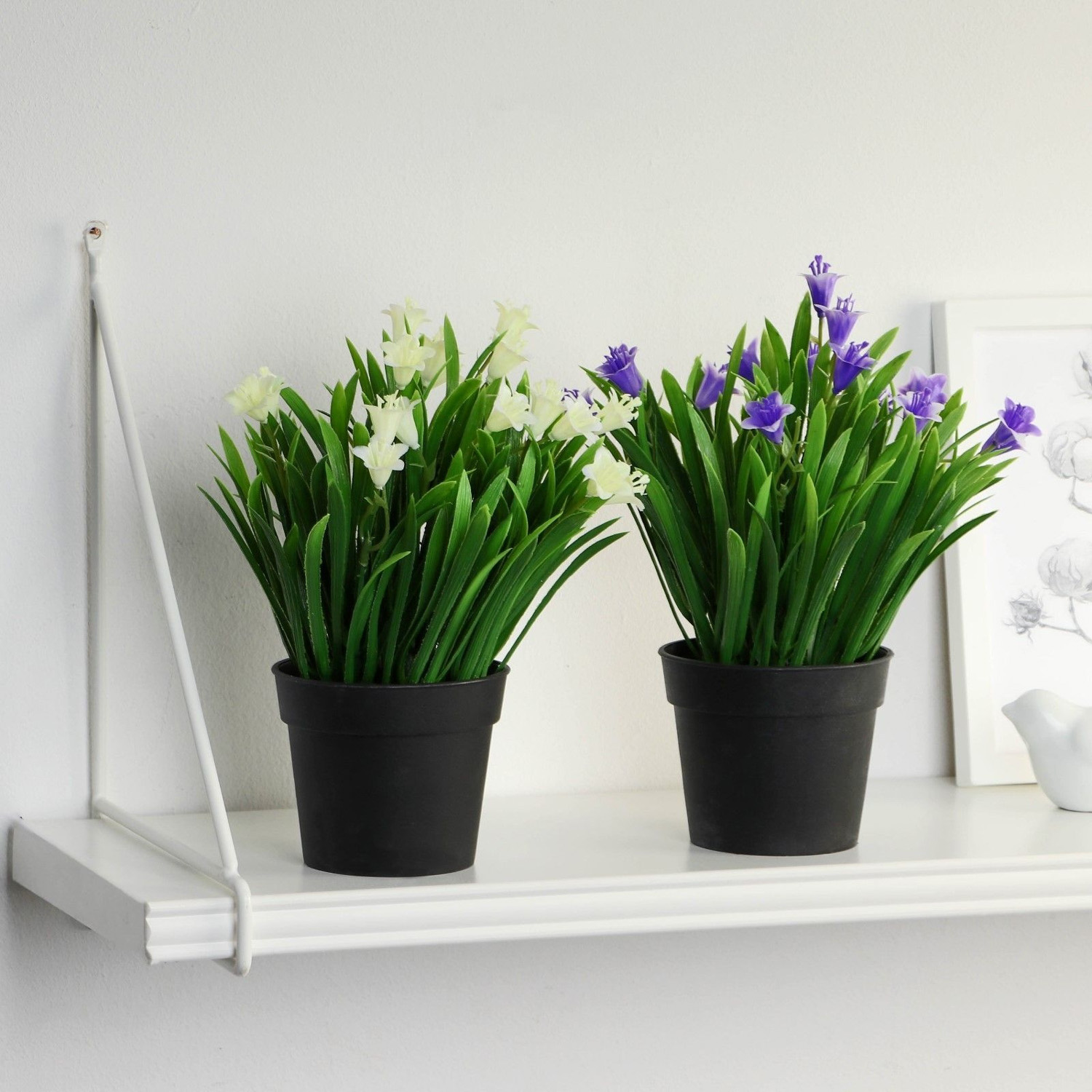 Бонсай в горшке "Гусмания и зелень" 9х18 см   9750513