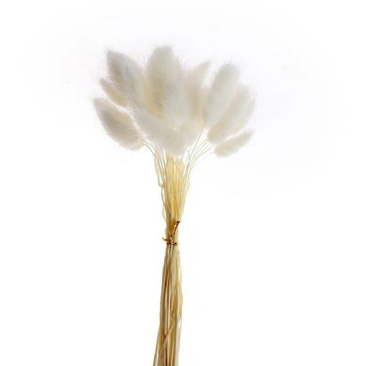 Сухие цветы лагуруса, набор 30 шт, цвет розовый   7123625