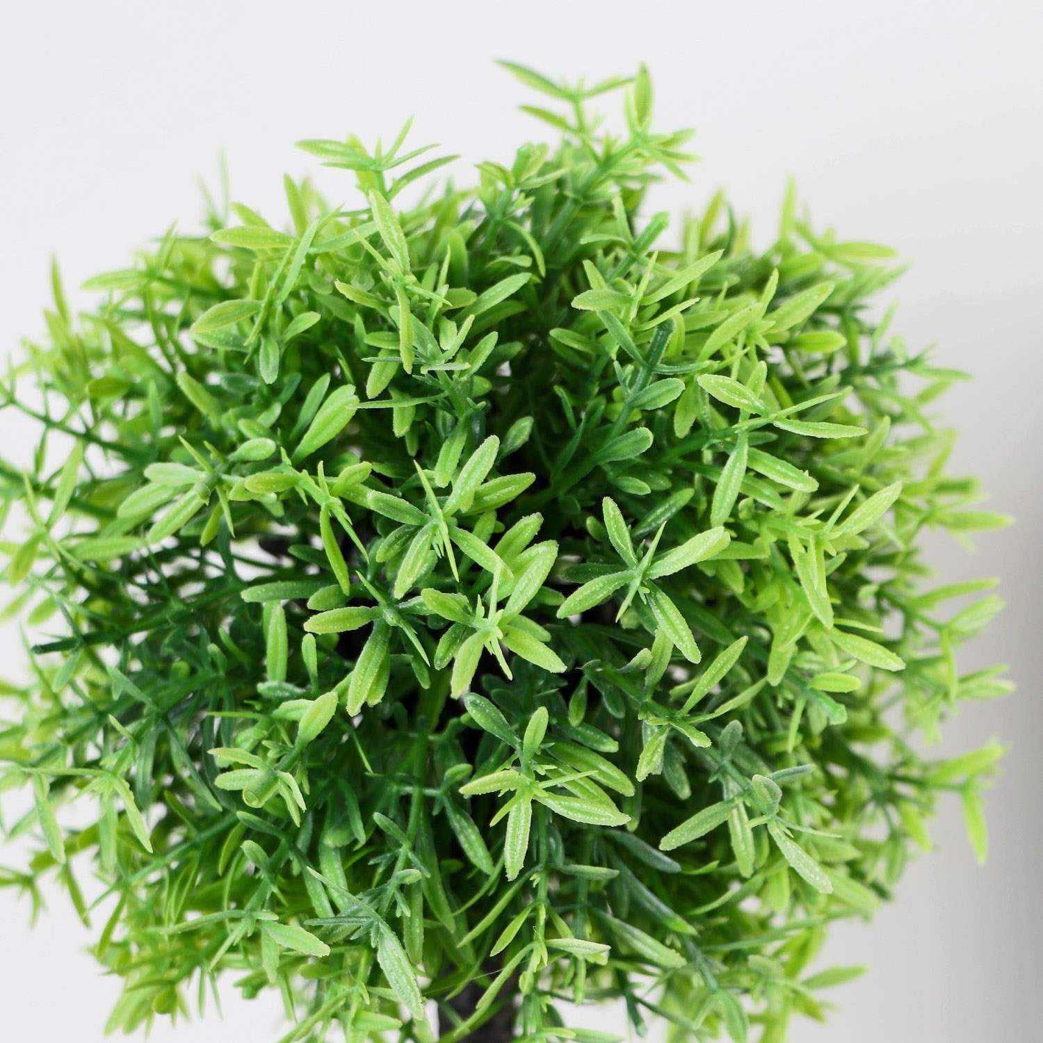 Бонсай в горшке "Олива европейская" 8,5х23 см   9750522