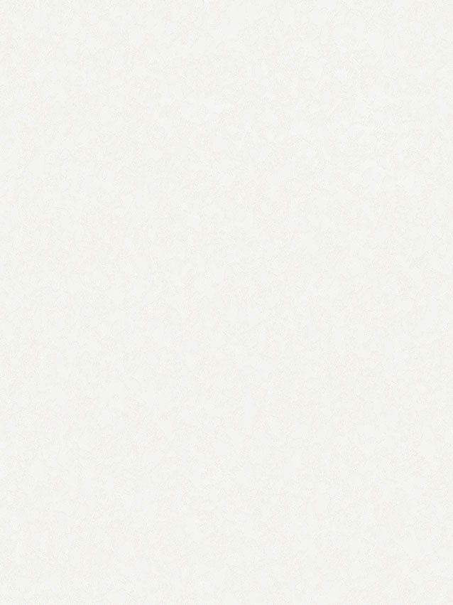 Обои винил Аспект Ясмин фон (бел.) 10140-15 0,53*10м *20 Обои винил Аспект Ясмин фон (бел.) 10140-15 0,53*10м *20