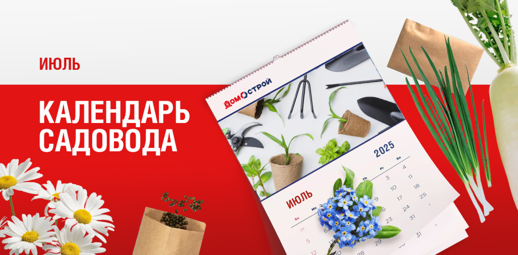Новость внутри _1500х738(3).jpg Новость внутри _1500х738(3).jpg