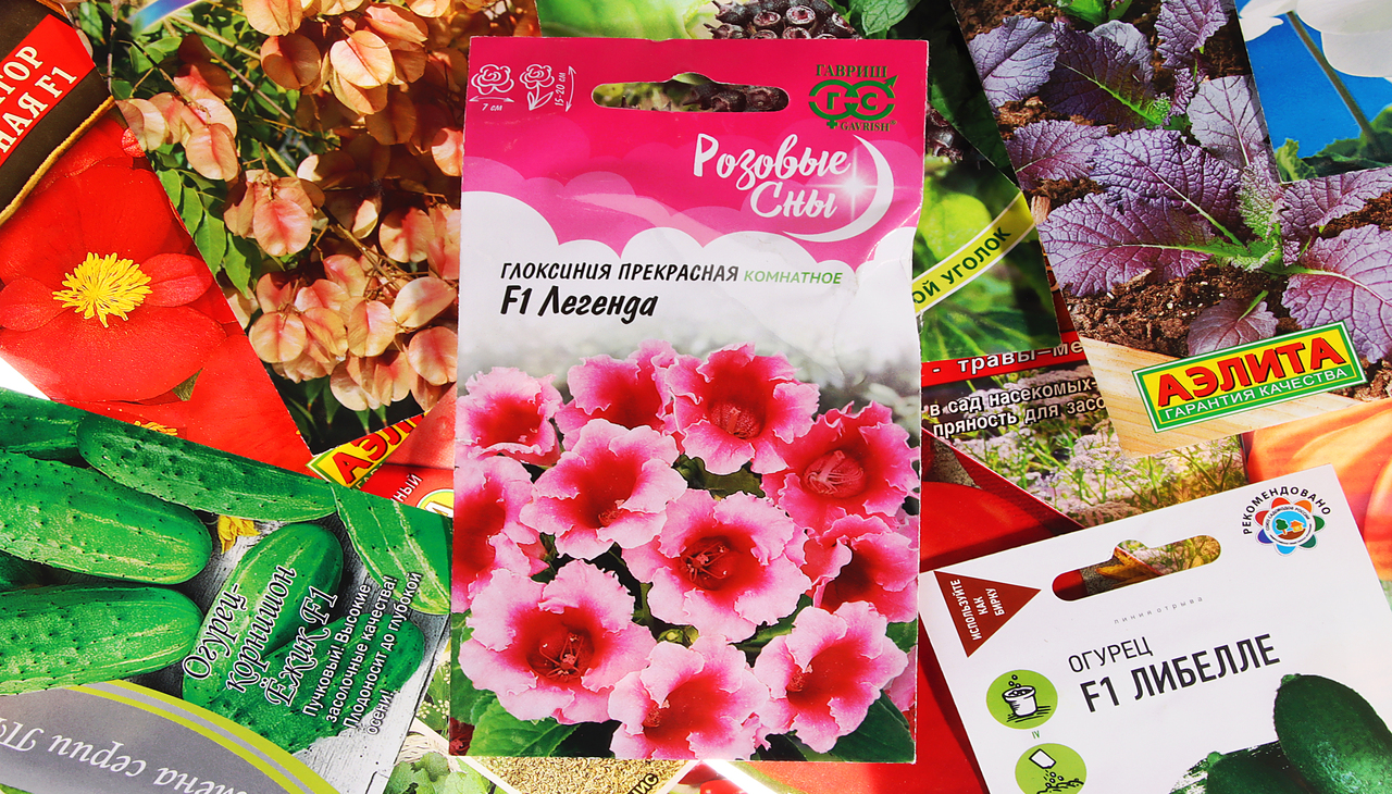 Семена_2 (5).jpg Семена_2 (5).jpg