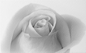 Плитка декоративная Шахтинская плитка Камелия 01, 250х400 мм, черный