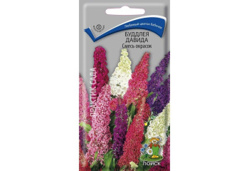 Семена Буддлея Давида Смесь окрасок 10шт ПОИСК *10/200