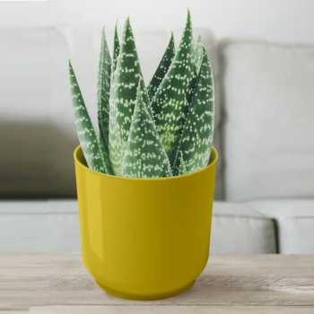 Кашпо пластм. "Дельта" 3,2л d верха 170мм h170мм со вставкой Медовый Д17-34 *1/8