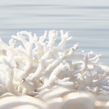 Плитка декоративная Alma Ceramica Del Mare, 249х500х7.5 мм