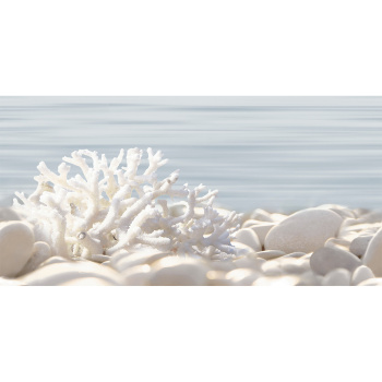 Плитка декоративная Alma Ceramica Del Mare, 249х500х7.5 мм