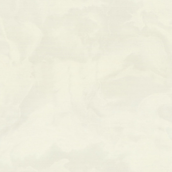 Обои флиз ED Euro Decor Floravento фон (бел.) 7325-00 *6 Обои флиз ED Euro Decor Floravento фон (бел.) 7325-00 *6