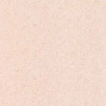 Обои флиз "AS Палитра" Долли 70541-15 1,06*10м *1/6