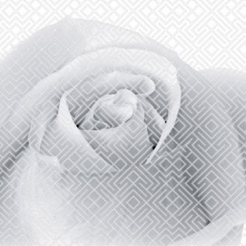 Плитка декоративная Шахтинская плитка Камелия 01, 250х400 мм, черный